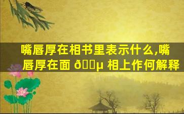 嘴唇厚在相书里表示什么,嘴唇厚在面 🌵 相上作何解释